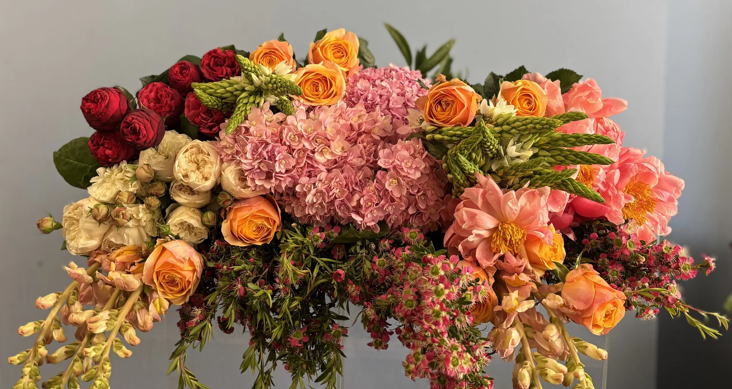 Professional Florist: Quality Service in Sunshine Coast